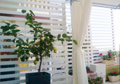 Accommodation St Julians Malta